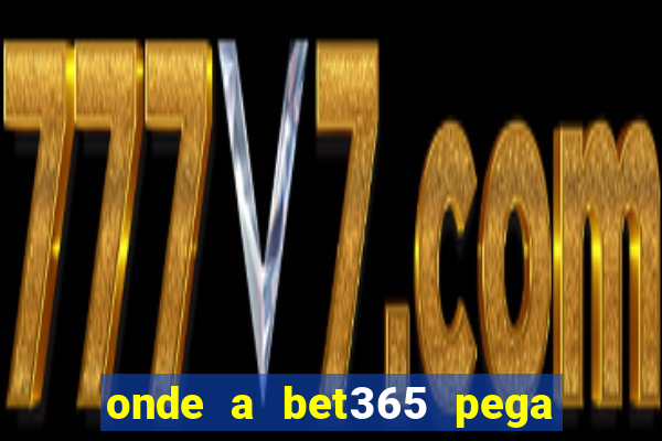 onde a bet365 pega as estatisticas